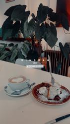 Toekan vinyl & drinks, Heist-op-den-Berg, Belgium