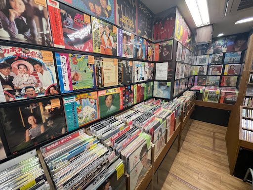 Vinyl Delivery Service | Record Store