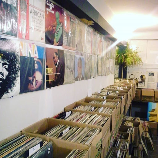 Venus Lounge Record Record Store Vinyl World