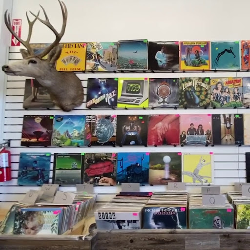 Provo's Vintage Groove Record Store Vinyl World
