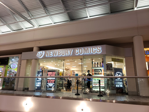 Newbury Comics - Bellingham (Record store in Bellingham, Massachusetts, United States)