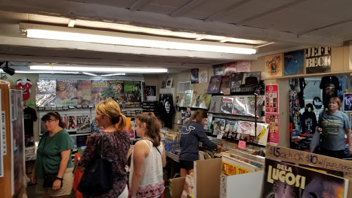 VINYL VIBES CD SHOP (Record store in Tarpon Springs, Florida, United States)